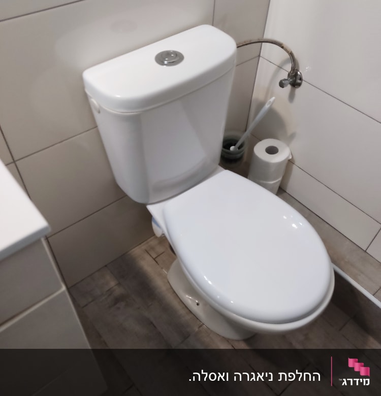 אסלה עם מברשת ניקוי ונייר טואלט